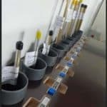 Test tubes in holders in a lab setting for scientific experiments.